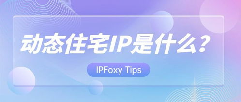 動態住宅代理與票務代理服務 定義、應用與辨析