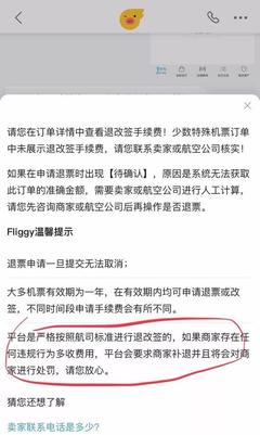 “飛豬”訂票填錯(cuò)信息竟被要求交500元 航司 不用交，票務(wù)代理服務(wù)